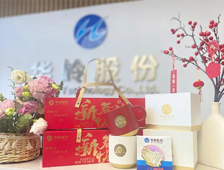 2024年华岭股份迎新活动