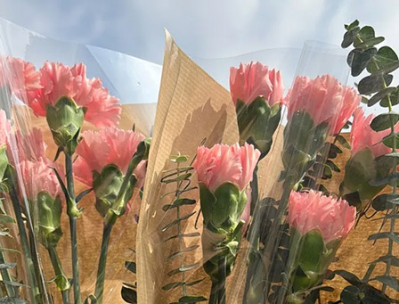 花开十里，恰如你——华岭股份祝各位女神节日快乐！